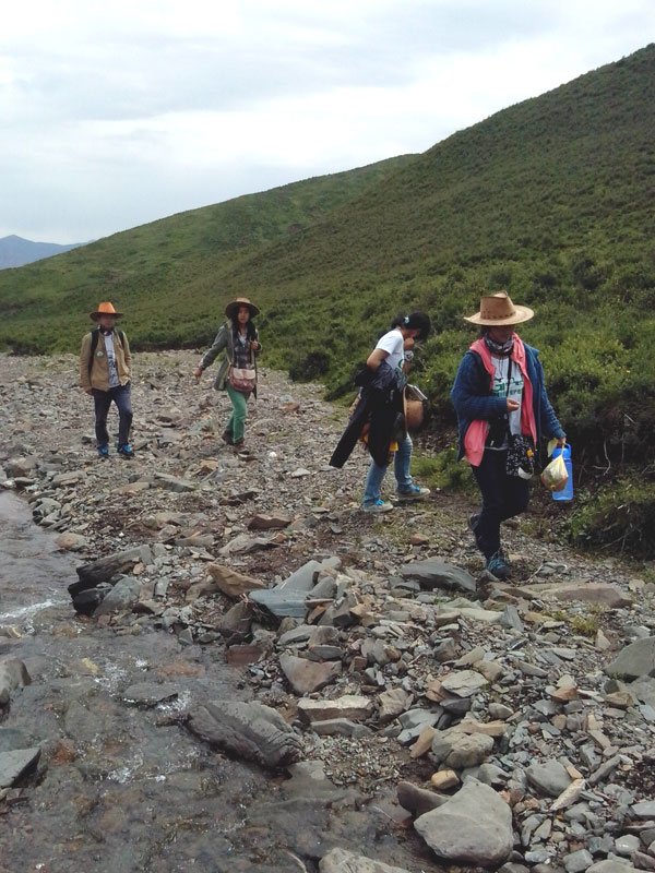 7��22�����m�ݴ�W(xu��)�Gɫ�I�F(tu��n)�(du��)�������c(di��n)����?q��)����{(di��o)�����(du��)�T������(d��ng)?sh��)ص��������f�ֲ����݈���r������ι�B(y��ng)���h(hu��n)��׃���ȷ����M(j��n)���˴��µ��˽����D���(du��)�T���ڮ�(d��ng)?sh��)��M(j��n)��ֲ����R������