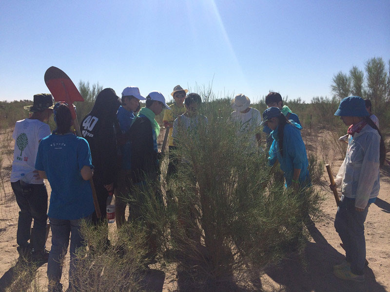 ������Ҫ��һ���ļ��ɺͽ�(j��ng)���ͬ�W(xu��)���_ʼ������һƬ�����ַ��ز����^�m(x��)�����[�ص�����