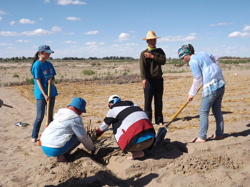 �@�N1.5��Ҋ(ji��n)�������ݸ�������ɳЧ����������^(gu��)4��5���͕�(hu��)�L(f��ng)�g��������Ҫ�����a(b��)����