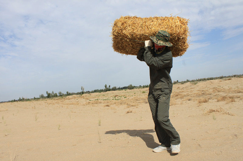 �F(tu��n)�T���i�������������ϳ����������������؟(z��)����