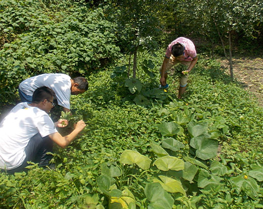 �ڶ��죬�(du��)�T���_ʼ�������B(t��i)�r(n��ng)��(ch��ng)�w�(y��n)�r(n��ng)�����������ժ����