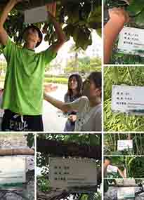 �K���r�WԺ�OӋУ�@ֲ����Ƭ�������K�r�Gɫ���}