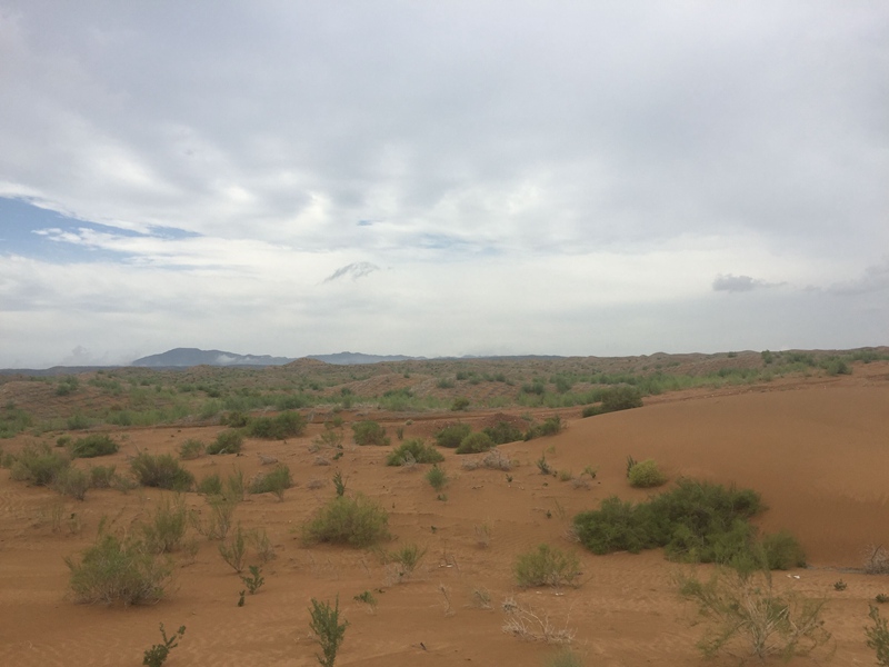 �v����ɳĮ�޾W(w��ng)������ݷ����ﲼ�M�[�d��ɳ��ֲ����