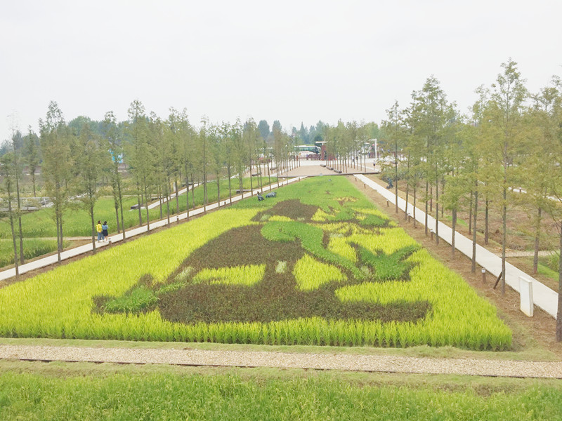 ������L�������������zӰ����־�ۣ�