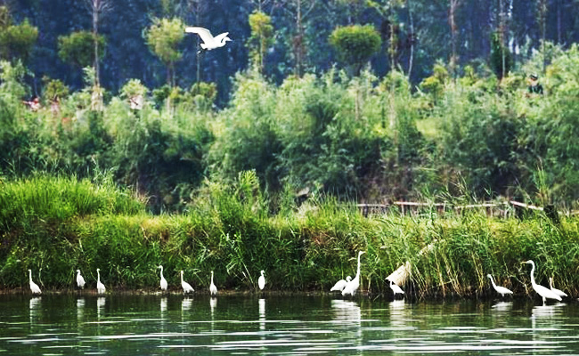 ͯԒ�ϼң���������Ԋ(sh��)�����Ϙ�(sh��)���f����