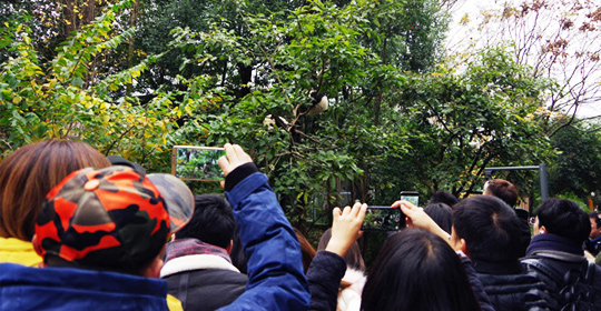 �@�����ӵ������ɶ����W(w��ng)�j(lu��)���ˁ�(l��i)�c(di��n)ٝ