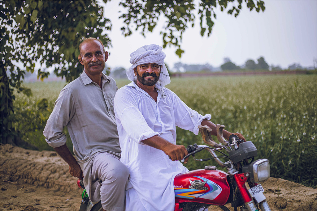 芝麻種植基地給當(dāng)?shù)厝藥砀嗑蜆I(yè)機(jī)會(huì)。（人民網(wǎng)記者 薛丹攝）