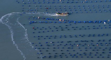 福建：冬韻斑斕