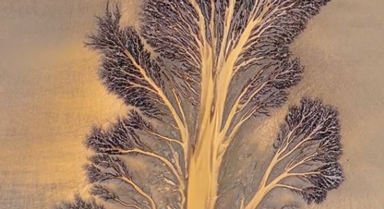 大自然的杰作！錢塘江又現(xiàn)“潮汐樹(shù)”